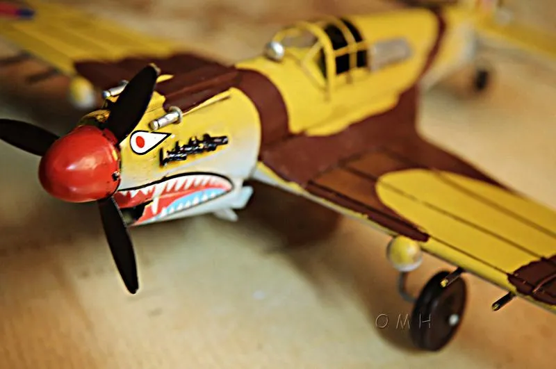 1941 Curtiss Hawk 81A 1:29