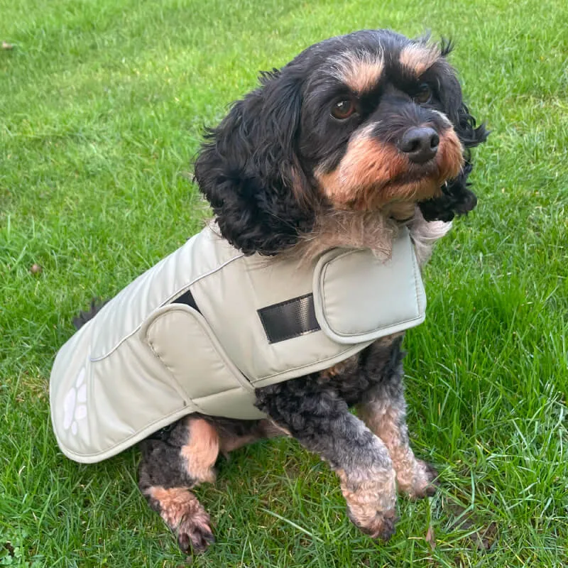 Happy Pet | Dog Coat | Sky Blue Paw Print Jacket