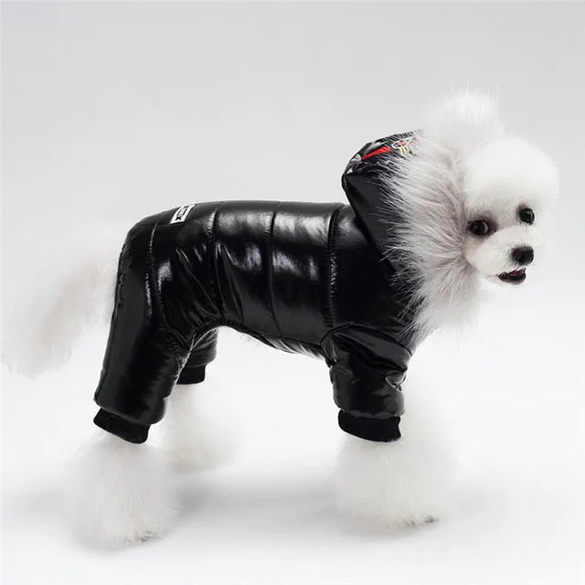 Pet Winter Overcoat (S-XXL)