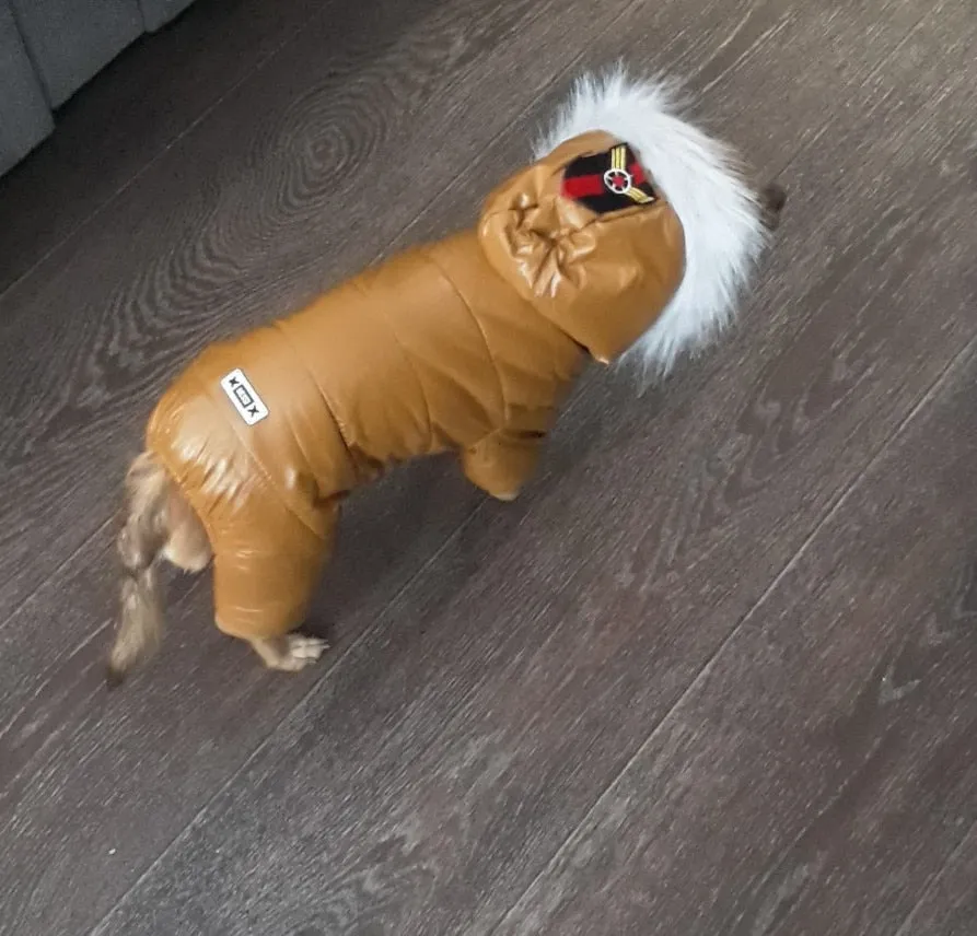 Pet Winter Overcoat (S-XXL)
