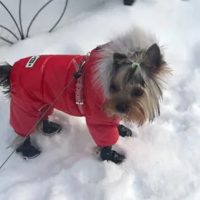 Pet Winter Overcoat (S-XXL)