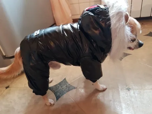 Pet Winter Overcoat (S-XXL)