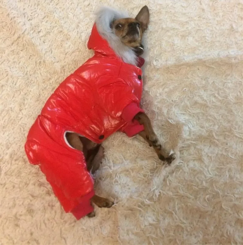 Pet Winter Overcoat (S-XXL)