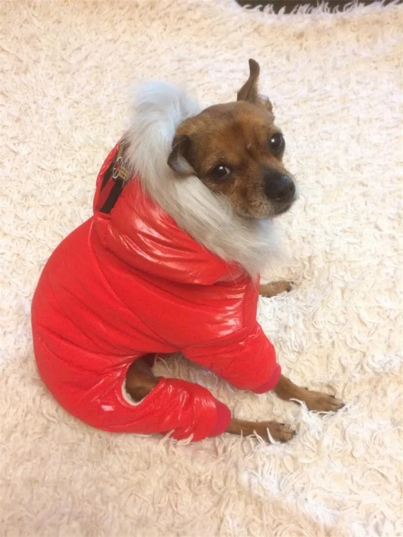 Pet Winter Overcoat (S-XXL)
