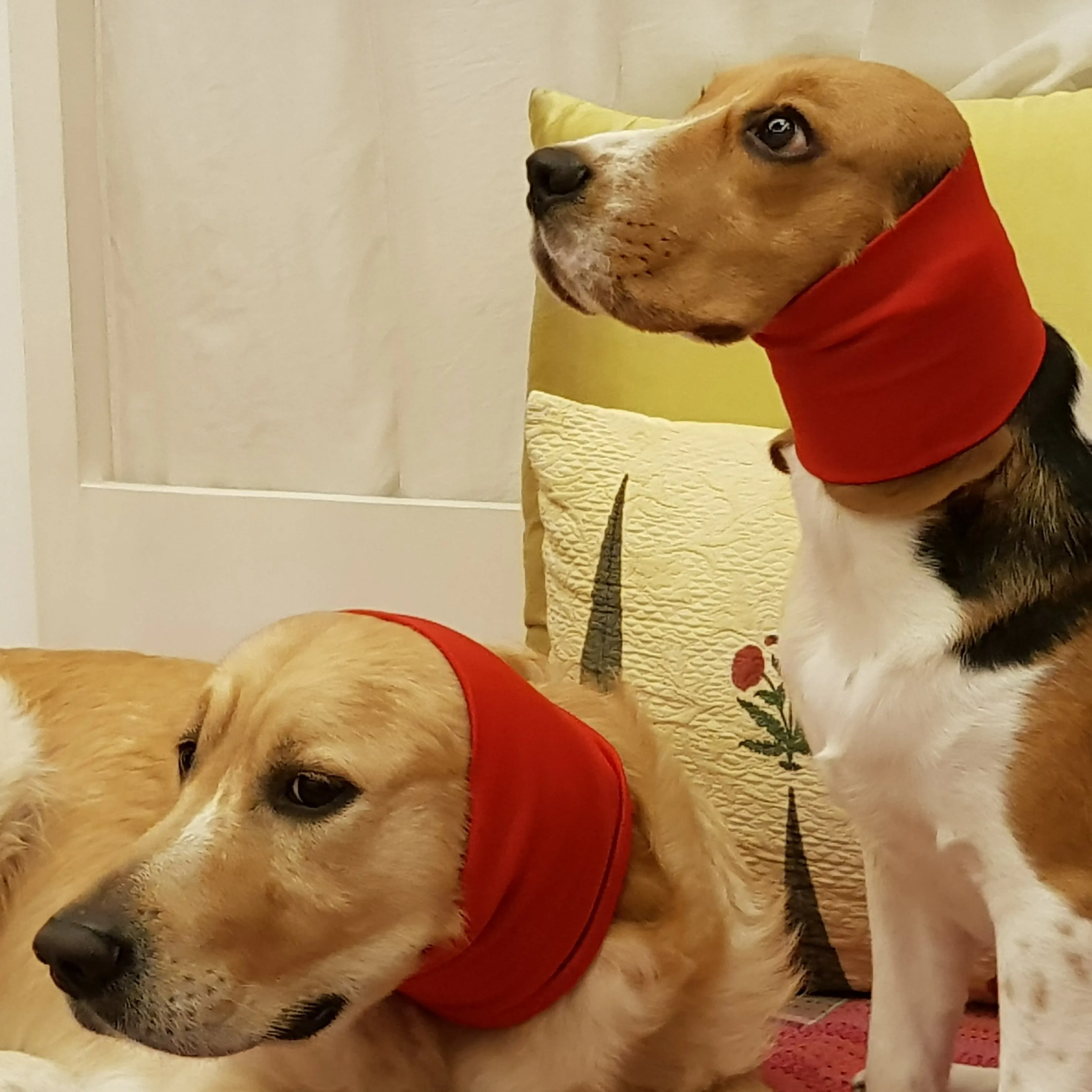 PoochMate Anti-Anxiety Dog Ear Muffs - Red