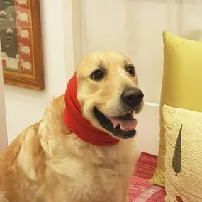 PoochMate Anti-Anxiety Dog Ear Muffs - Red