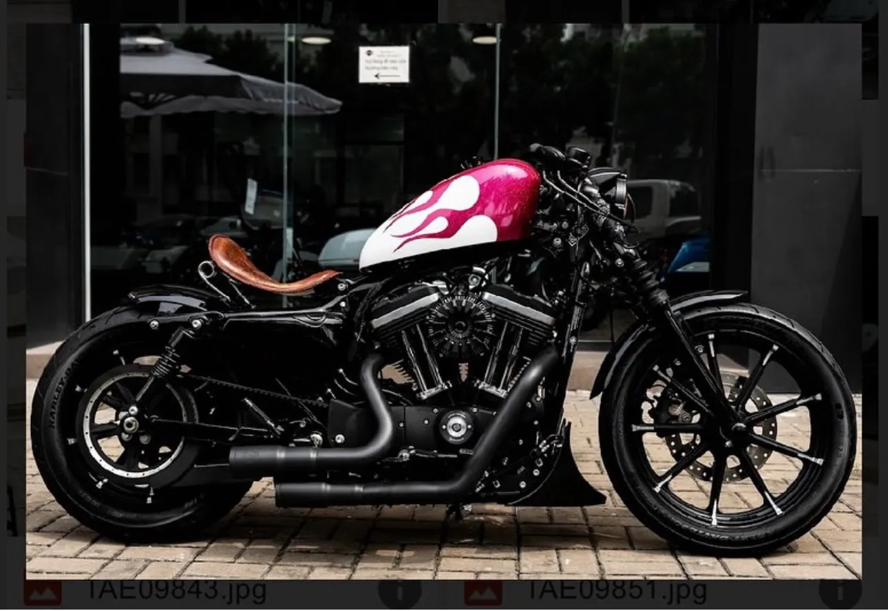 WHITE PINK FLAMES - FortyEight